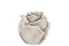 CONCRETE  ANTIQUE ROSE 9X9X8CM