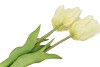 SILK TULIP BOUQUET WHITE 26X47CM