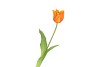 SILK TULIP SINGLE ORANGE 48CM