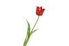 SILK TULIP SINGLE RED 48CM