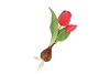 SILK TULIP BULB DARK PINK 25CM