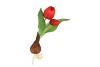 SILK TULIP BULB RED 25CM