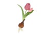 SILK TULIP BULB PURPLE 25CM