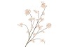 SILK CHERRY BLOSSOM CHAMPAGNE 126CM