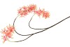 SILK WISTERIA PEACH 93CM