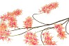 SILK WISTERIA PEACH 130CM