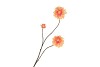 SILK DAHLIA BRANCH PEACH 80CM