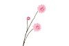 SILK DAHLIA BRANCH PINK 80CM