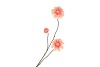 SILK DAHLIA BRANCH CHAMPAGNE PINK 80CM