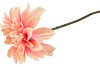 SILK DAHLIA BRANCH CHAMPAGNE PINK 80CM