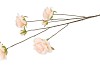 SILK ROSES WILD PEACH 126CM