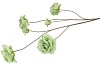 SILK ROSES WILD GREEN 126CM