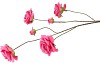 SILK ROSES WILD FUCHSIA 126CM