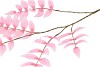 SILK SALIX LEAF SINGLE PINK 90CM