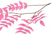 SILK SALIX LEAF SINGLE BEAUTY 90CM