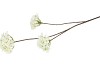 SILK HYDRANGEA BRANCH WHITE 85CM