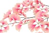 SILK GINKGO LEAF PINK/CHAMPAGNE 130CM