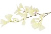 SILK GINKGO WHITE 85CM