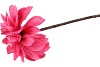 SILK DAHLIA BRANCH FUCHSIA 80CM