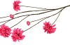 SILK DAHLIA BRANCH FUCHSIA 125CM