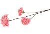 SILK HYDRANGEA BRANCH PINK 85CM