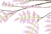 SILK SALIX LEAF PURPLE 135CM