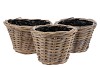 ROTAN POT GRIJS WHITEWASH ROND 3-DELIG 29X19CM