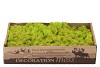 MOSS ICELAND GREEN A 500 GRAM