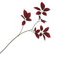 SILK LEAF ELDER DARK RED 81CM