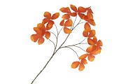 SILK LEAF CHESTNUT ORANGE 135CM