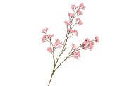 SILK BERRY SPICE LIGHT PINK 108CM NM