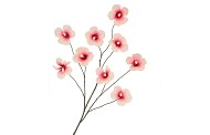 SILK HIBISCUS CHAMPAGNE PINK 125CM