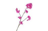 SILK CHERRY BLOSSOM PURPLE 85CM NM