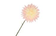 SILK DAHLIA POINTY CHAMPAGNE/LIGHT PINK 65CM NM