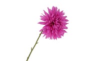 SILK DAHLIA POINTY PURPLE 65CM NM