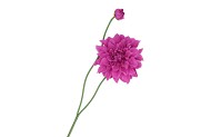 SILK DAHLIA SPIKE PURPLE 78CM NM