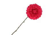 SILK DAHLIA BOLD RED 68CM