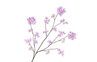 SILK CHERRY BLOSSOM LIGHT PURPLE 126CM NM