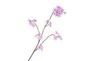 SILK CHERRY BLOSSOM LIGHT PURPLE 85CM NM