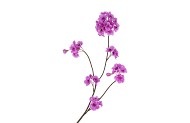 SILK CHERRY BLOSSOM DARK PURPLE 85CM