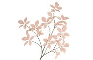 SILK LEAF ELDER CHAMPAGNE 124CM NM