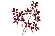 SILK LEAF ELDER DARK RED 124CM