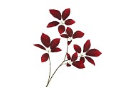 SILK LEAF ELDER DARK RED 81CM