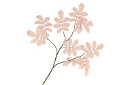 SILK LEAF ROWAN CHAMPAGNE 71CM