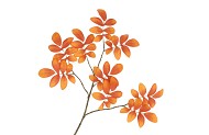 SILK LEAF ROWAN ORANGE 71CM