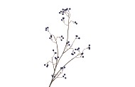 SILK BERRY BRANCHED BLUE 93CM