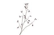 SILK BERRY BRANCHED PURPLE 93CM