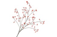 SILK BERRY BRANCHED RED 135CM NM