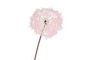 SILK DANDELION PINK 91CM