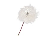 SILK DANDELION WHITE 91CM